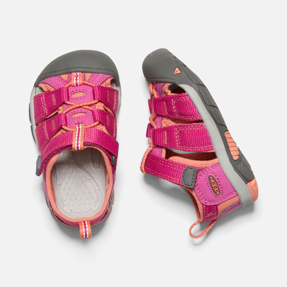 Keen Sandaal Kinderen Roze/Koraal - Newport H2 - 34106-YFCQ